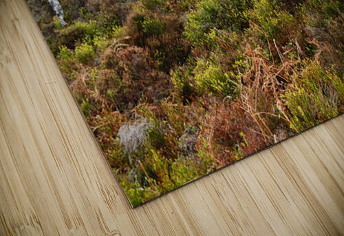  Fairies Wishes in the Scottish Highlands                                                                                                                    Catriona Roberts Nature Photography and Designs puzzle