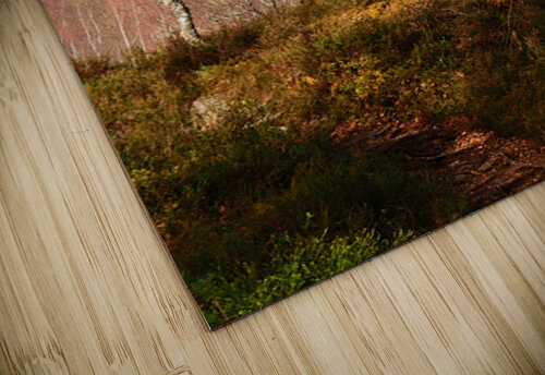 The Divide in the Scottish Highlands                                                                                                                      Catriona Roberts Nature Photography and Designs puzzle