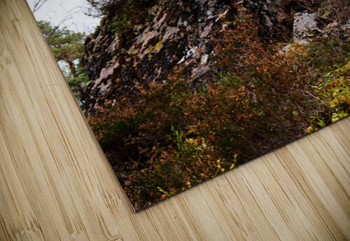 Scenes from the Trail- Rock Hard Pine                                                                                                                       Catriona Roberts Nature Photography and Designs puzzle