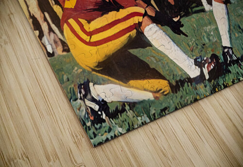 1978 Minnesota Golden Gopher Field Goal Row One Brand puzzle