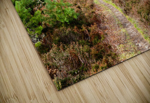 Aprils Spring Walk Through the Scottish Highlands                                                                                                                      Catriona Roberts Nature Photography and Designs puzzle