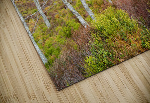  Natures Spring Song for the Scottish Highlands                                                                                                                    Catriona Roberts Nature Photography and Designs puzzle