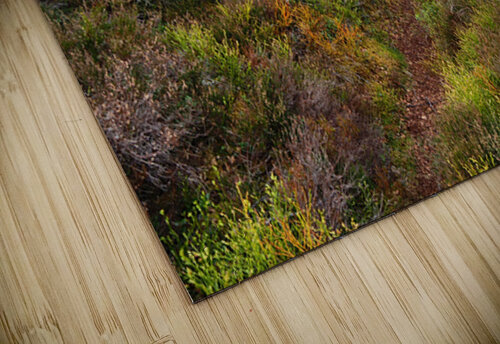 Spring Landscape in the Scottish Highlands                                                                                                                      Catriona Roberts Nature Photography and Designs puzzle