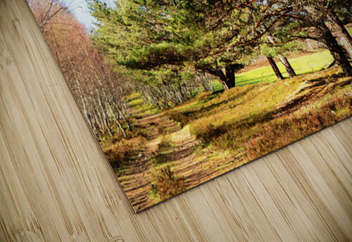   Springs Nature Delight in the Scottish Highlands                                                                                                                    Catriona Roberts Nature Photography and Designs puzzle