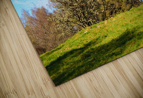 Scottish Highlands Spring Trees                                                                                                                      Catriona Roberts Nature Photography and Designs puzzle