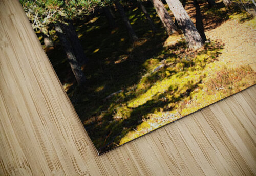  Scottish Highlands in the Spring                                                                                                                     Catriona Roberts Nature Photography and Designs puzzle