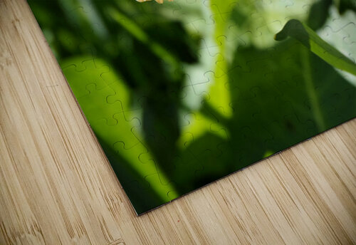 Scottish Highlands Daffy                                                                                                                      Catriona Roberts Nature Photography and Designs puzzle