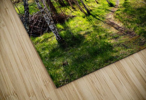  Scottish Highlands Spring Woodland                                                                                                                     Catriona Roberts Nature Photography and Designs puzzle