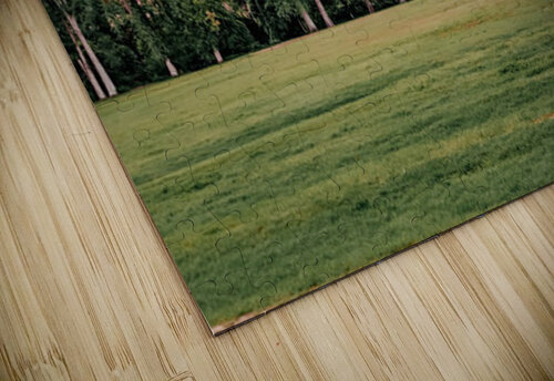 Cypress Bend Skyline Preiss Photography puzzle