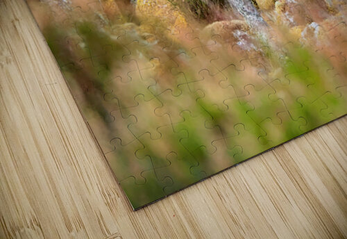 The Fairies Meeting Place in the Scottish Highlands                                                                                                                      Catriona Roberts Nature Photography and Designs puzzle