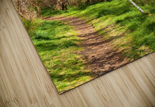 Natures Path Through the Scottish Highlands                                                                                                                    Catriona Roberts Nature Photography and Designs puzzle