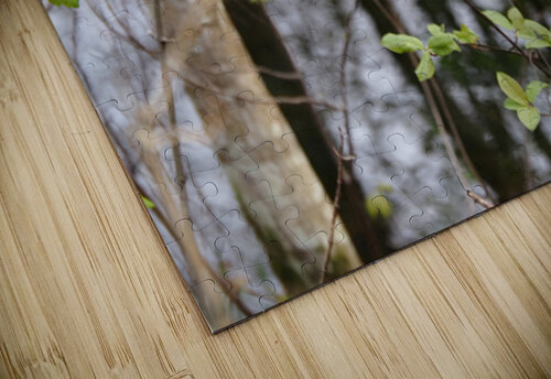   Scottish Highlands Leaves Reflections                                                                                                                     Catriona Roberts Nature Photography and Designs puzzle