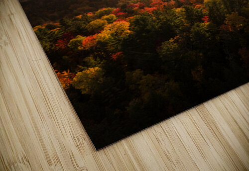 Canadian Autumn - 1 Luyi puzzle