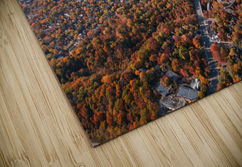 Toronto Skyline Autumn Luyi puzzle