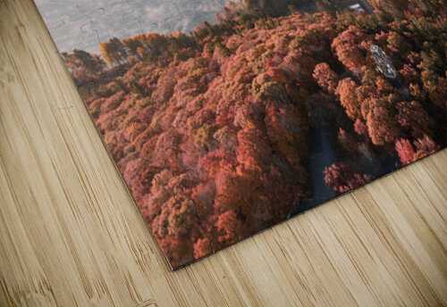 Canadian Autumn - 2 Luyi puzzle