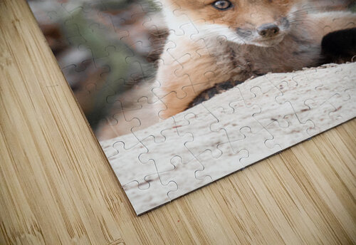Fox Cubs Luyi puzzle