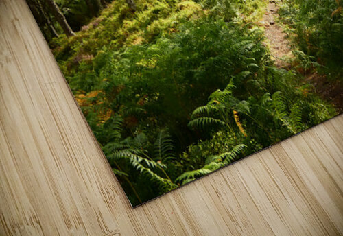 Scottish Highlands Summer Walk Catriona Roberts Nature Photography and Designs puzzle