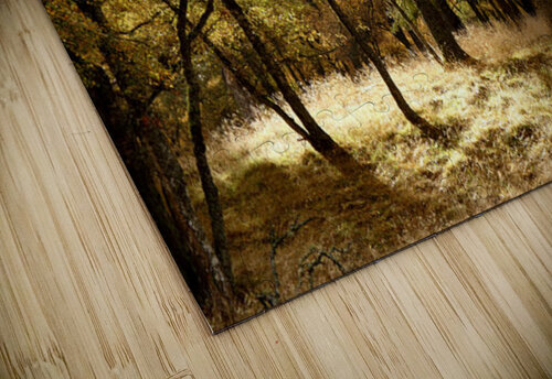 Autumns Kiss for the Scottish Highlands Catriona Roberts Nature Photography and Designs puzzle