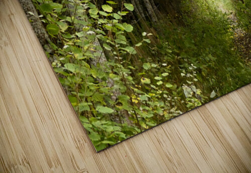 Scottish Highlands Summer Trail Catriona Roberts Nature Photography and Designs puzzle