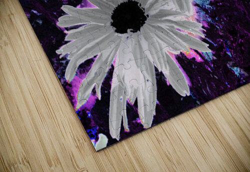 Abstract Monochrome Daises on a Coloured Background Catriona Roberts Nature Photography and Designs puzzle