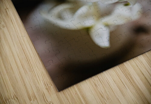 Soft Spoken Preiss Photography puzzle