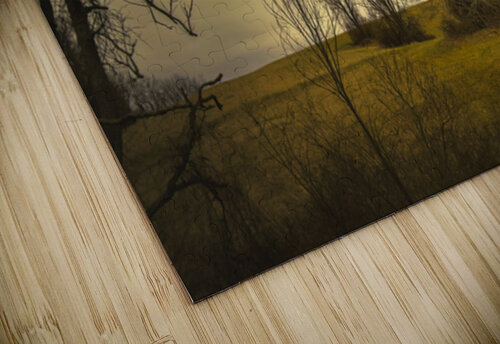 Virginia Barn Survivor Norma Brandsberg Photography puzzle