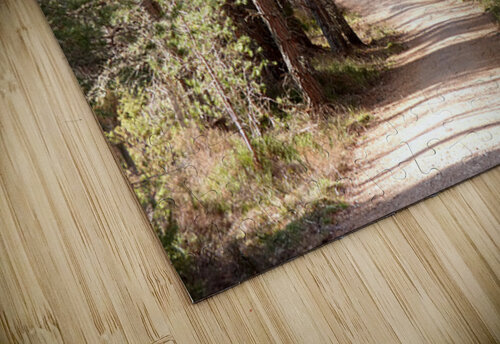  Tranquil Forest Path Through the Scottish Highlands Catriona Roberts Nature Photography and Designs puzzle
