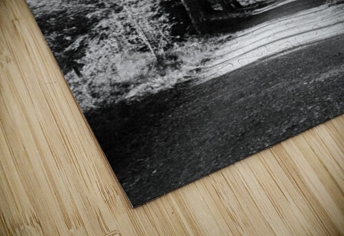 Scottish Highlands Forest Path in Black and White Catriona Roberts Nature Photography and Designs puzzle