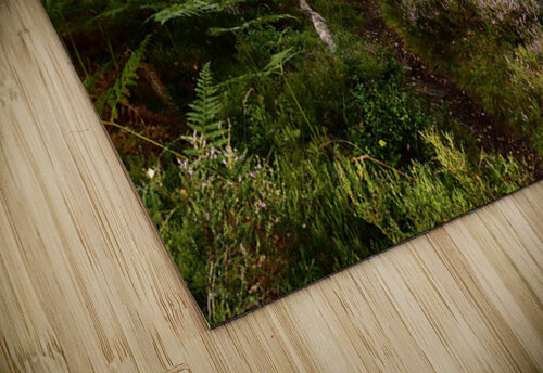 Scottish Highlands Forest View Catriona Roberts Nature Photography and Designs puzzle