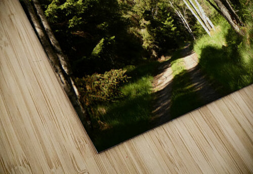 Summer Forest Path Through the Scottish Highlands Catriona Roberts Nature Photography and Designs puzzle