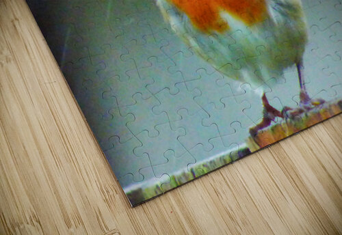 Scottish Highlands Robin in the Snow Catriona Roberts Nature Photography and Designs puzzle