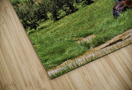 OldOrchard chris bankston puzzle