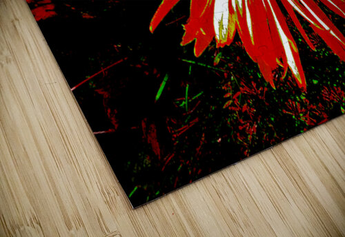 Abstract Red Daisy Catriona Roberts Nature Photography and Designs puzzle