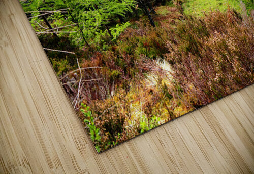 Scenes from the Trail- Morning in the Scottish Highlands                                                                                                                      Catriona Roberts Nature Photography and Designs puzzle