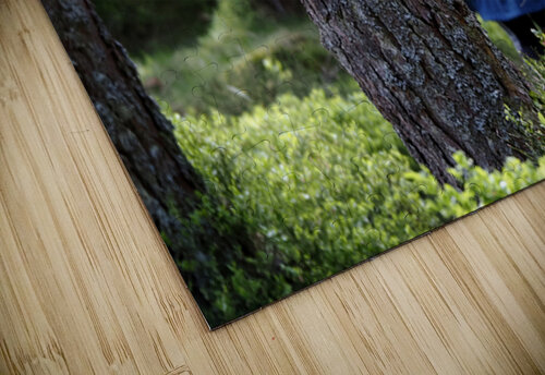  Running the Scottish Highlands Trail                                                                                                Catriona Roberts Nature Photography and Designs puzzle