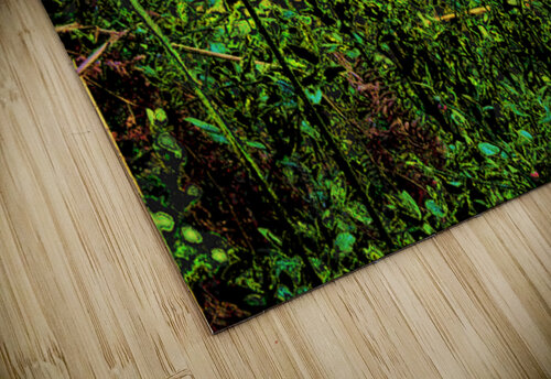  Abstract Ferns in the Forest                                                                                                                      Catriona Roberts Nature Photography and Designs puzzle