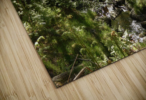 Summer Light in the Scottish Highlands Catriona Roberts Nature Photography and Designs puzzle