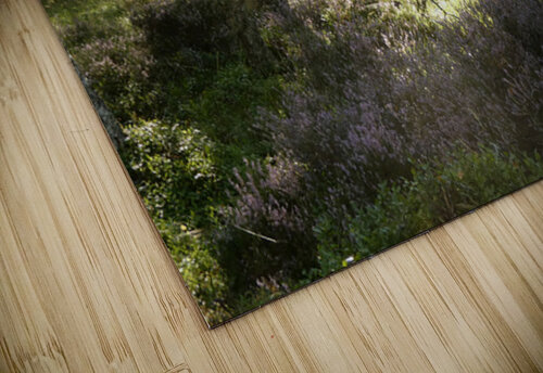 Forest Sunlight in the Scottish Highlands Catriona Roberts Nature Photography and Designs puzzle