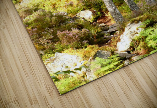 Summer in the Scottish Highlands Catriona Roberts Nature Photography and Designs puzzle