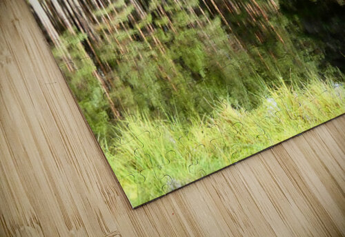 Scottish Highlands Pine Lochan View Catriona Roberts Nature Photography and Designs puzzle