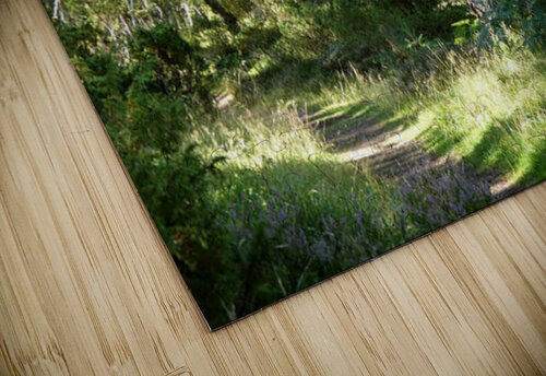 Natures Peaceful Walk Through The Scottish Highlands Catriona Roberts Nature Photography and Designs puzzle