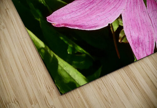 Impressionistic Cone Flower Catriona Roberts Nature Photography and Designs puzzle