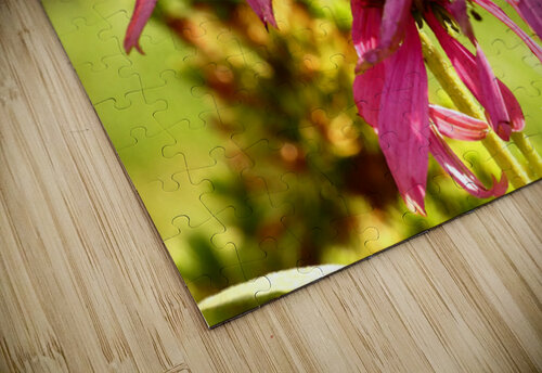 Summer Cone Flowers Catriona Roberts Nature Photography and Designs puzzle