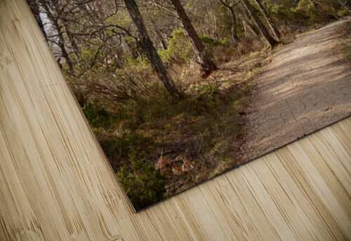 Winters Path Through The Scottish Highlands Catriona Roberts Nature Photography and Designs puzzle
