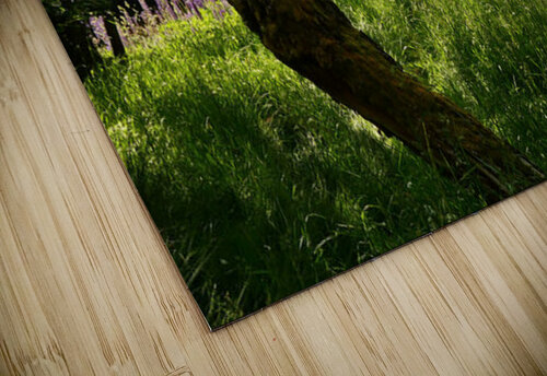 Summer in the Scottish Highlands Catriona Roberts Nature Photography and Designs puzzle