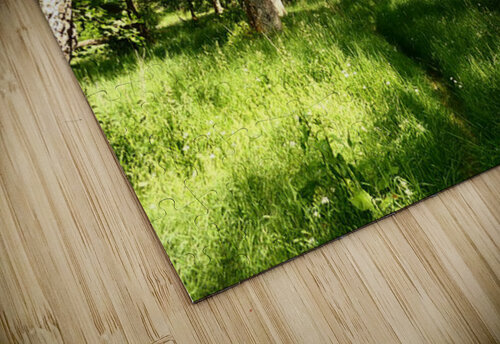 Scottish Highlands Summer Style Catriona Roberts Nature Photography and Designs puzzle