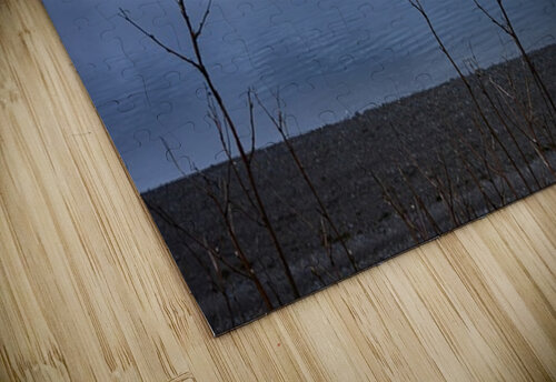 Alaskan Beach Folliage Icy Strait Point Ryan Cameron puzzle