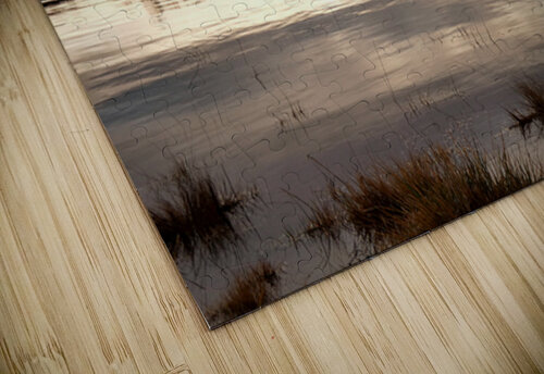 Winters Sunlight Reflection Catriona Roberts Nature Photography and Designs puzzle