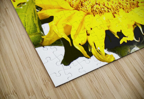 Artistic Flower Catriona Roberts Nature Photography and Designs puzzle