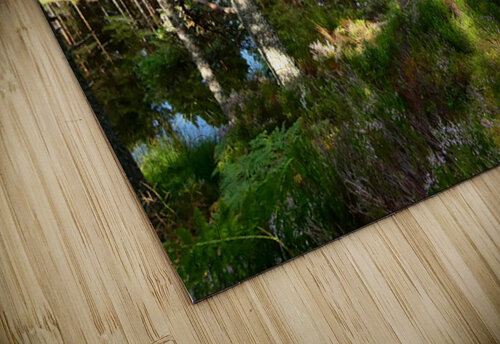 Scottish Highlands Summer Lochan Catriona Roberts Nature Photography and Designs puzzle